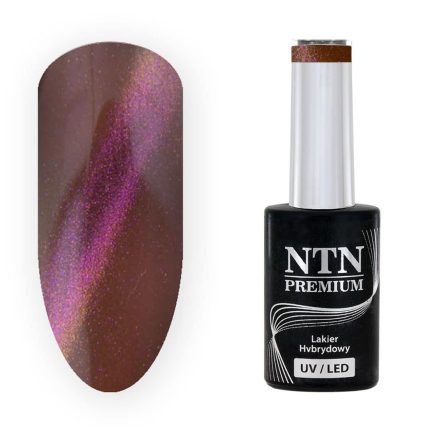 Gēla nagu laka NTN Premium Magnetic Cat Eye 5g. Nr.225