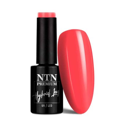 Gēla nagu laka NTN Premium Dessert Collection 5g. Nr.91
