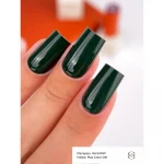 Gēla nagu laka Gemely Max color 041, 6ml - Image 3